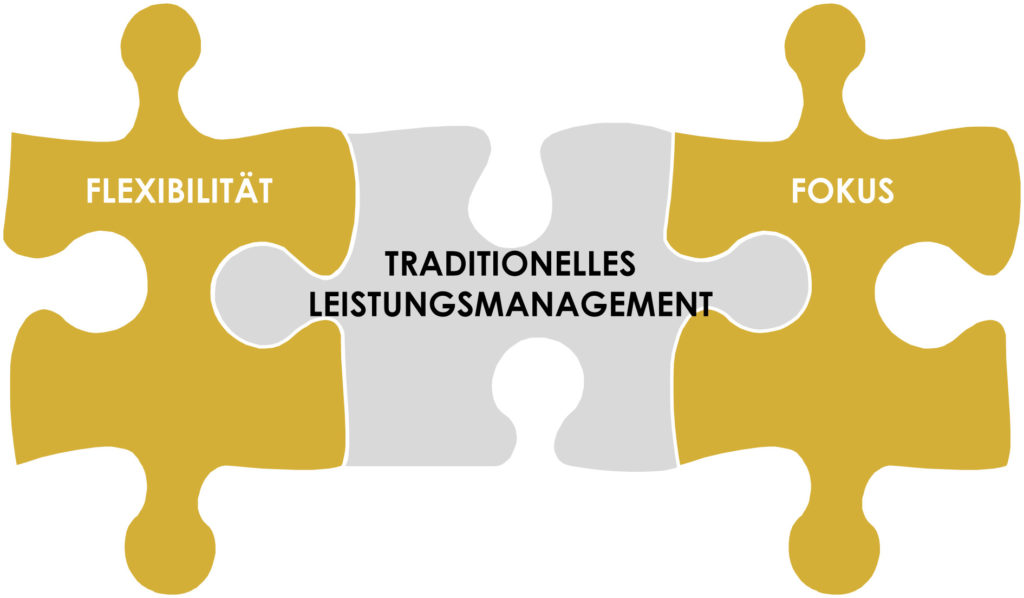AgilesPerformanceManagement copy